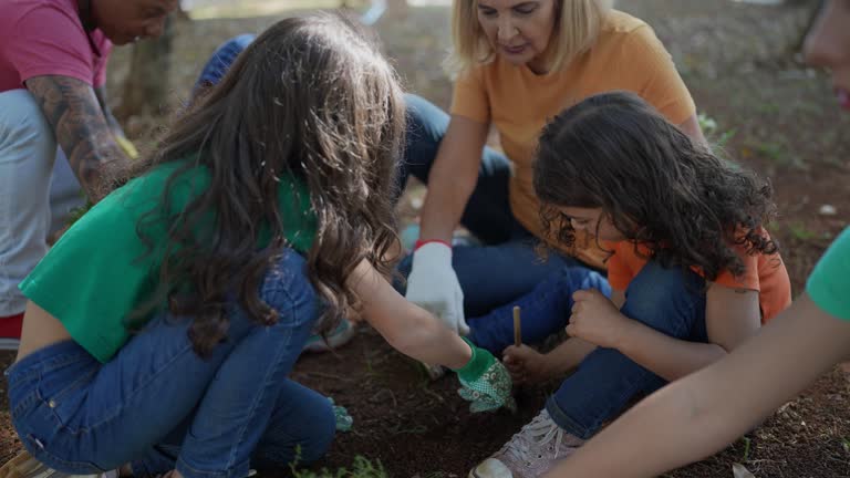 Trusted Eastvale, CA Tree Care Services Experts